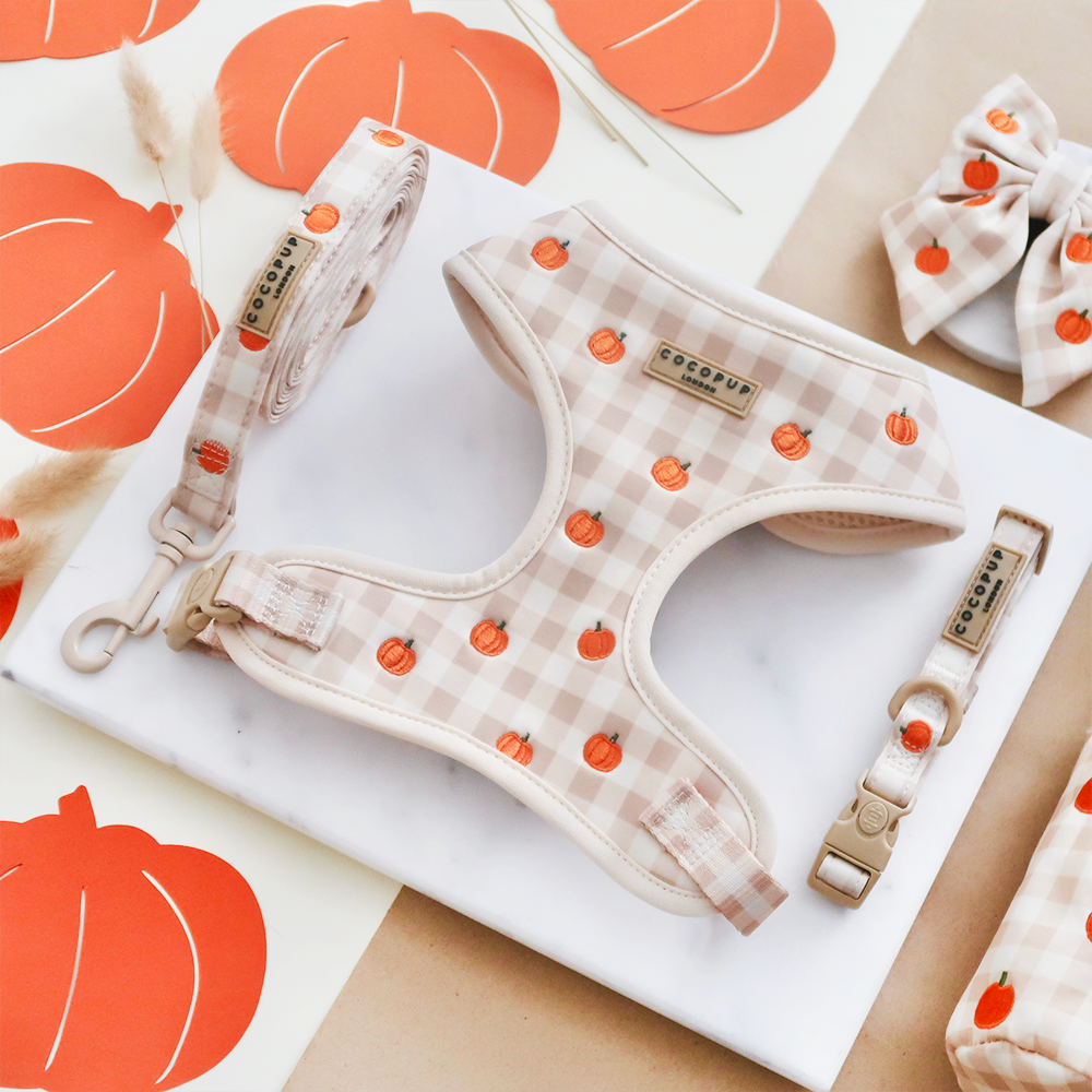 Laisse champ de Citrouilles