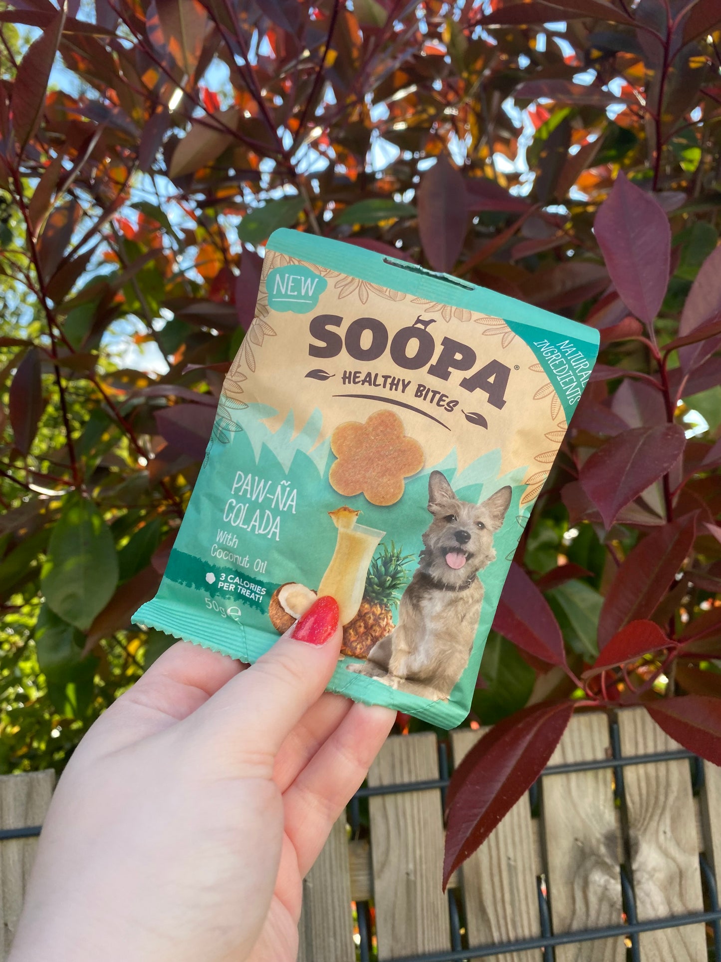 Friandises pour chiens - Noix de coco et ananas