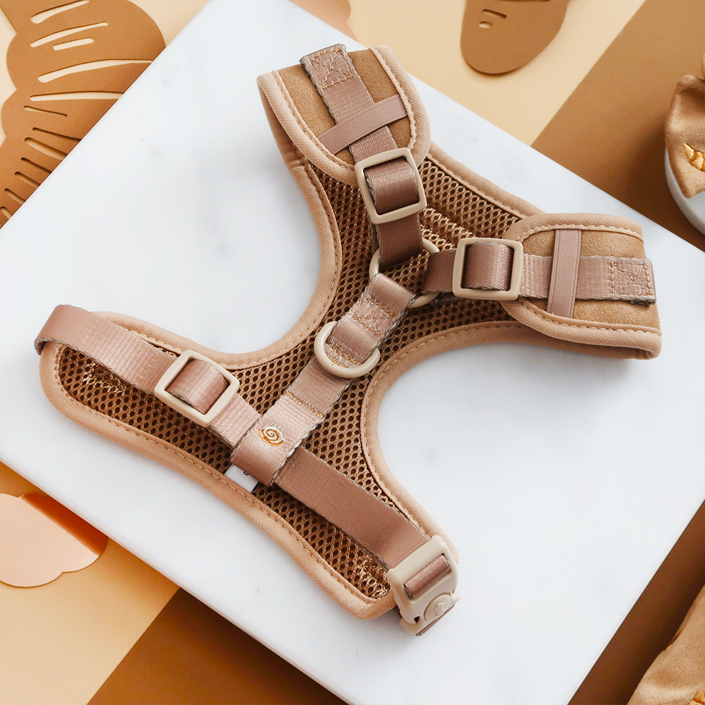 Harnais réglable pour le cou Pawtisserie