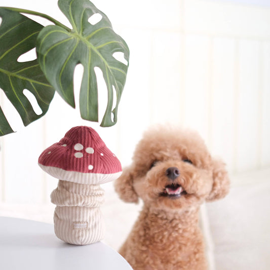 Le Champignon rouge