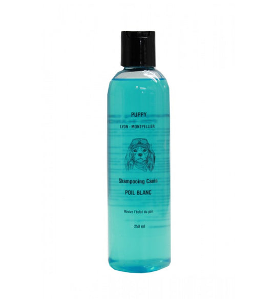 Shampoing poil blanc