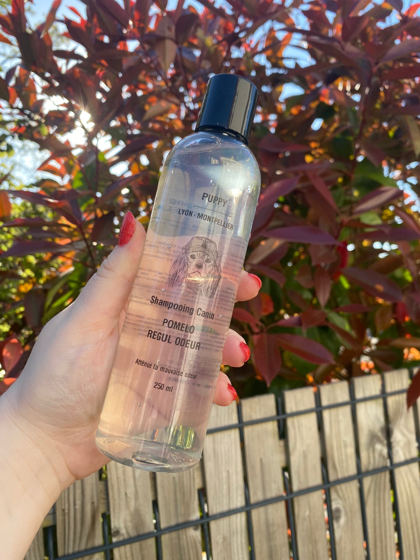 Shampoing Pomelo