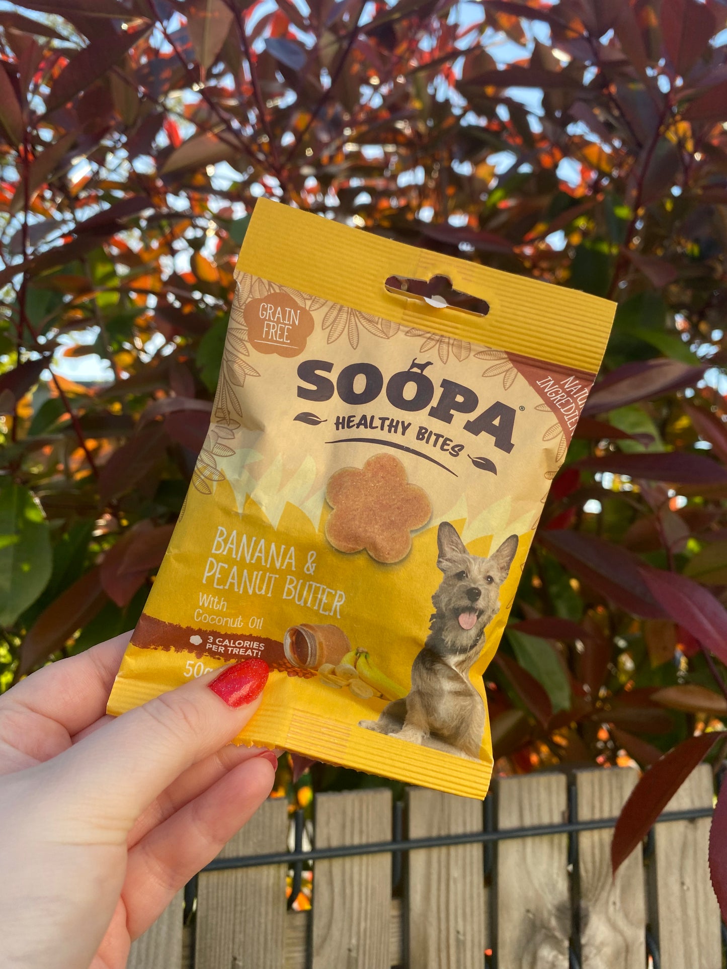 Friandises pour chiens - Beurre de cacahouètes et banane
