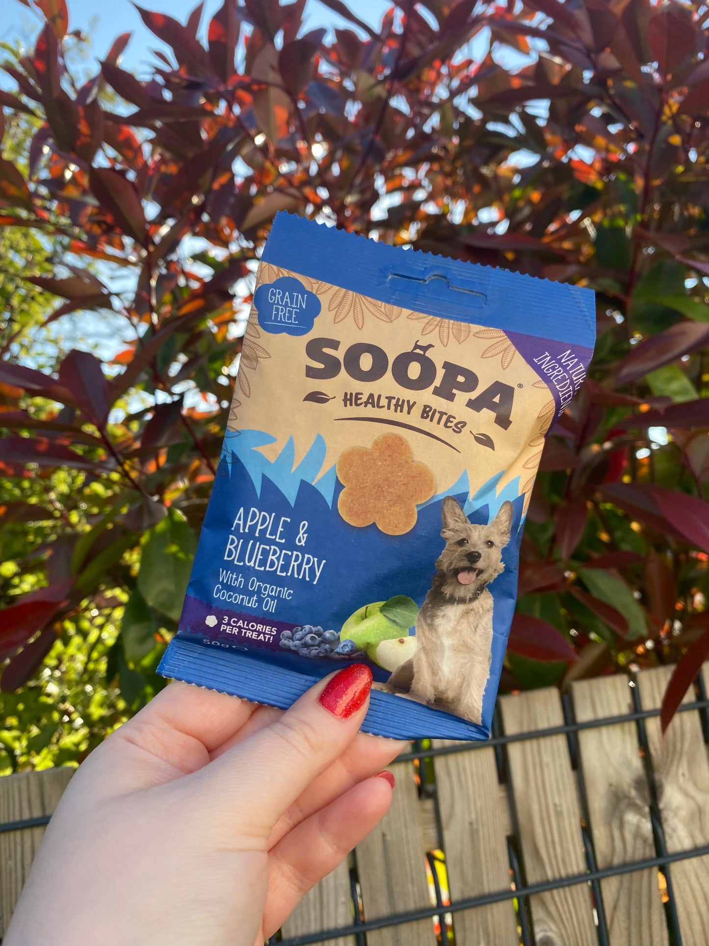 Friandises pour chiens - Myrtille et pomme