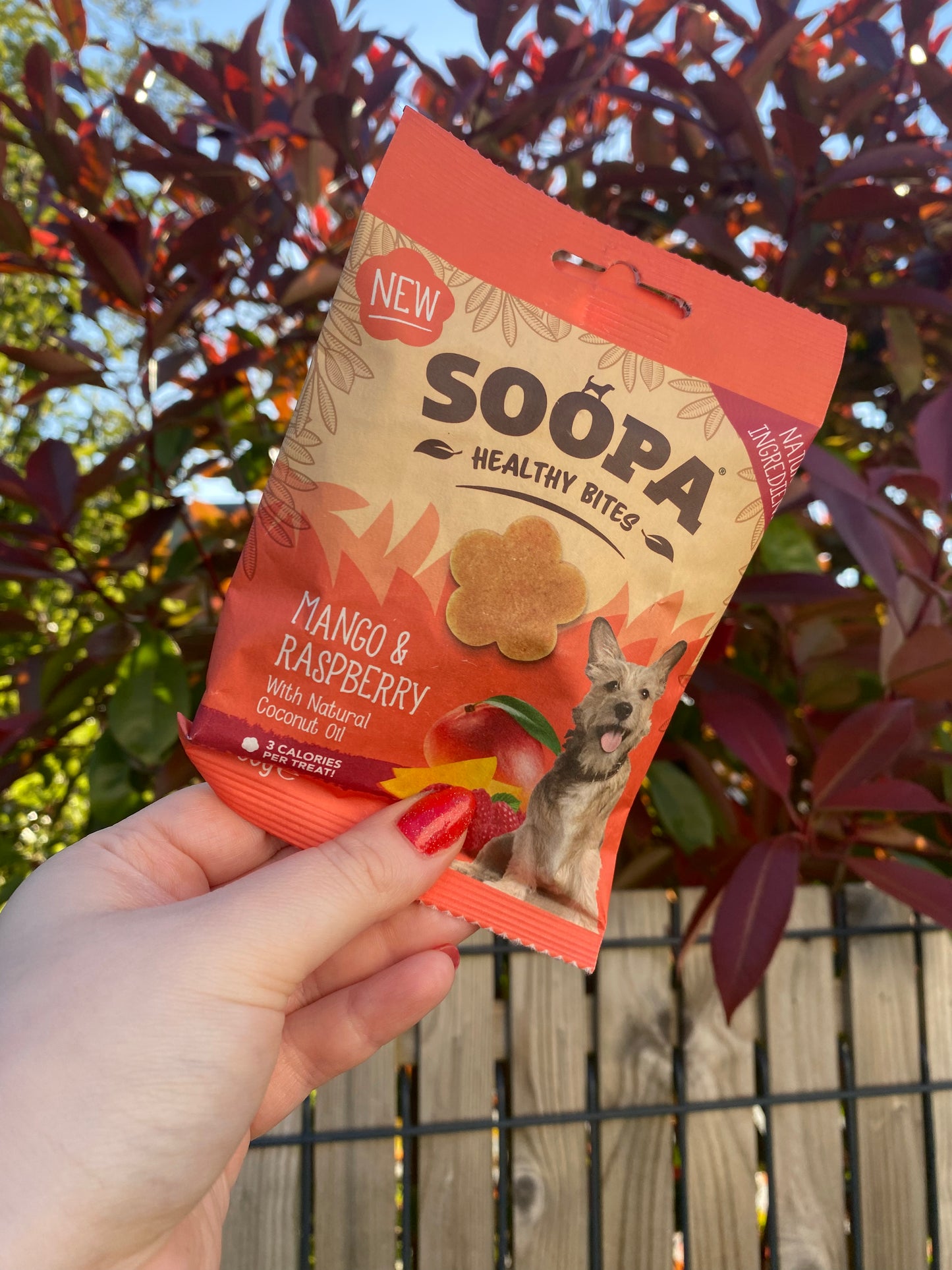 Friandises pour chiens - Mangue et framboise