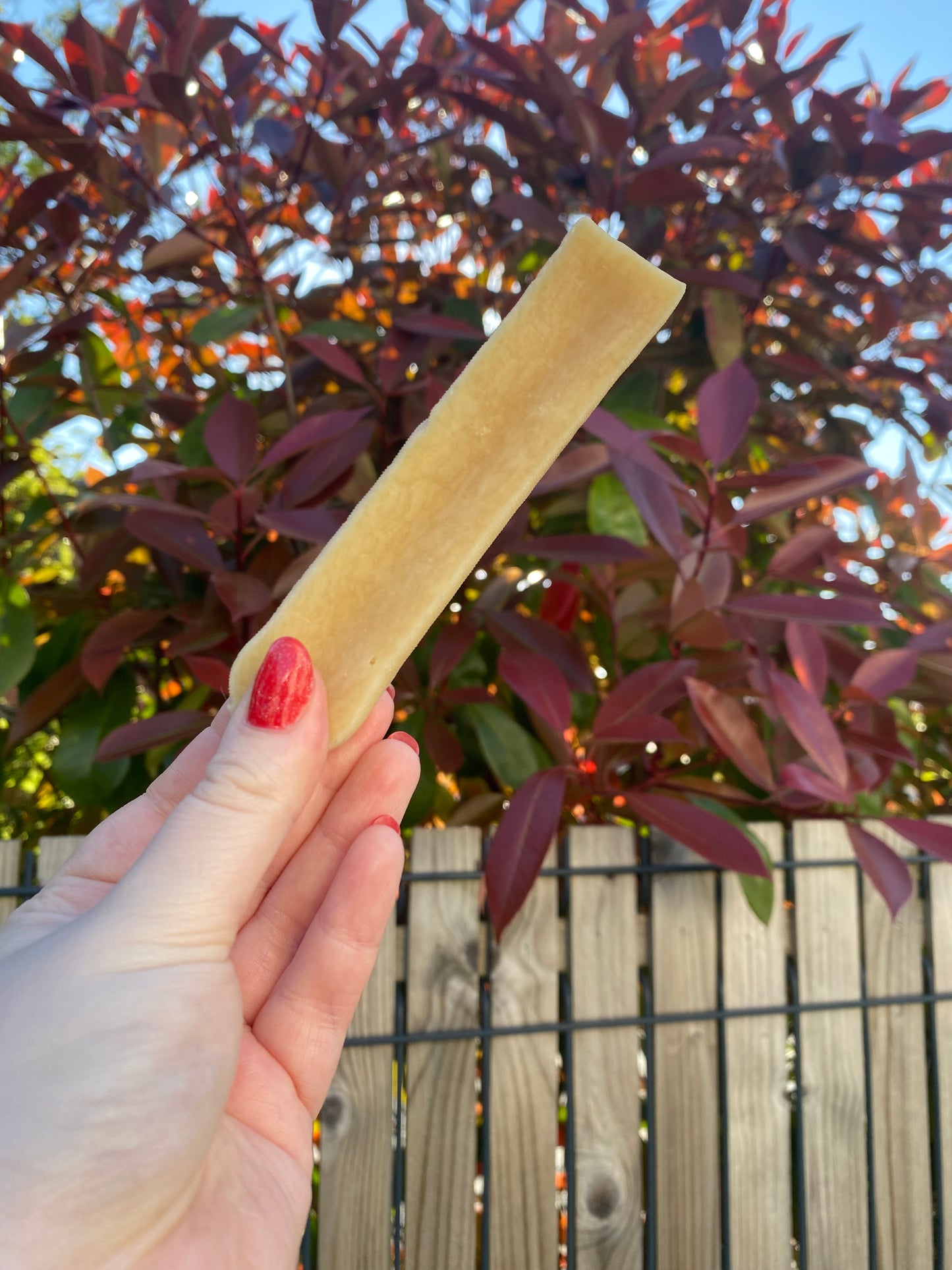 Fromage de Yak - Mangue, noix de coco et pomme