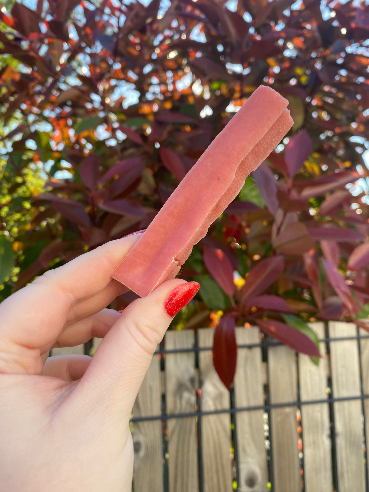 Fromage de Yak à la fraise