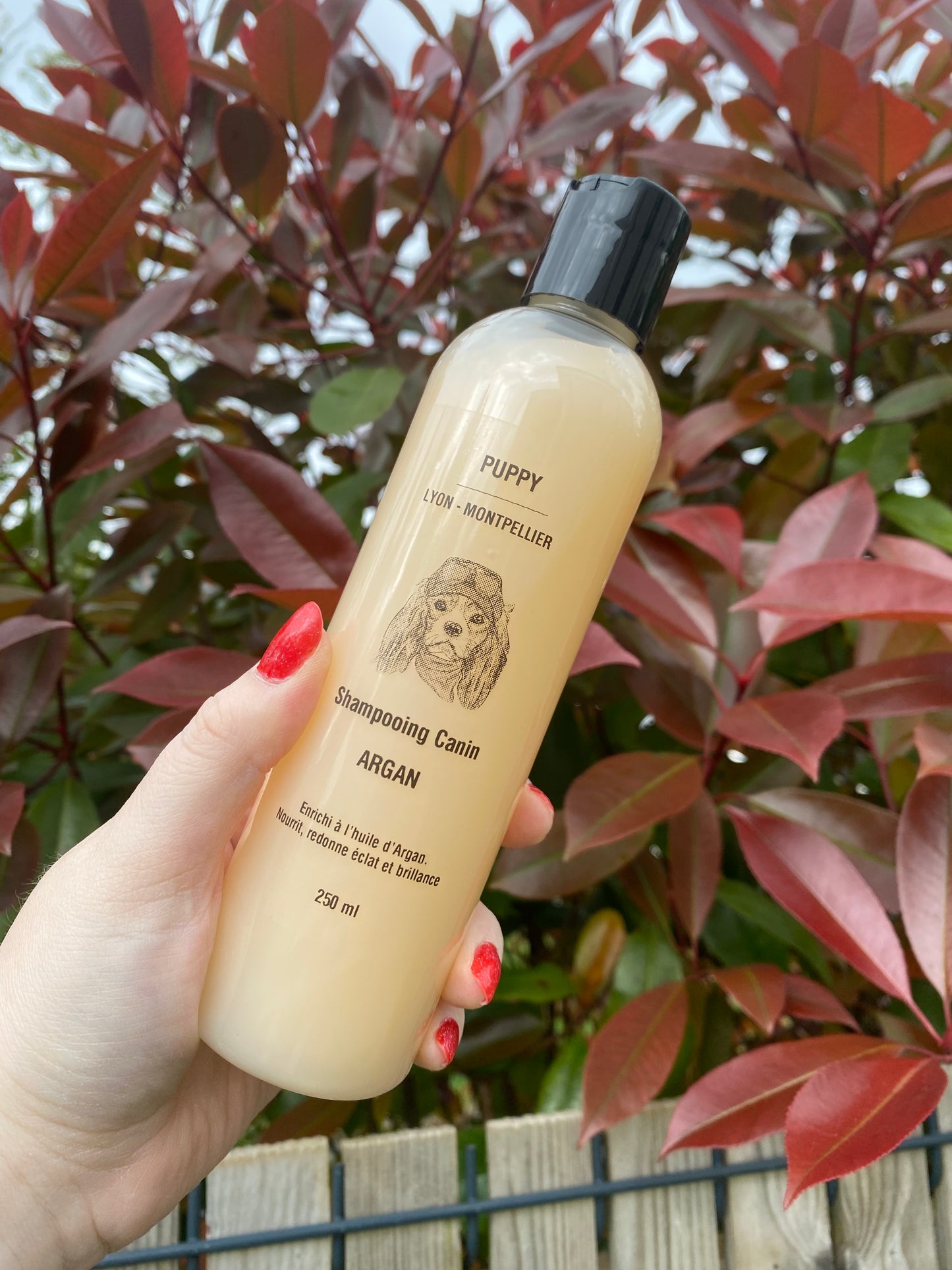 Shampoing à l'huile d'argan