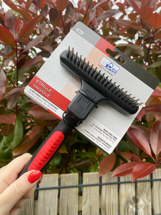 Brosse à dents rotatives et retractables