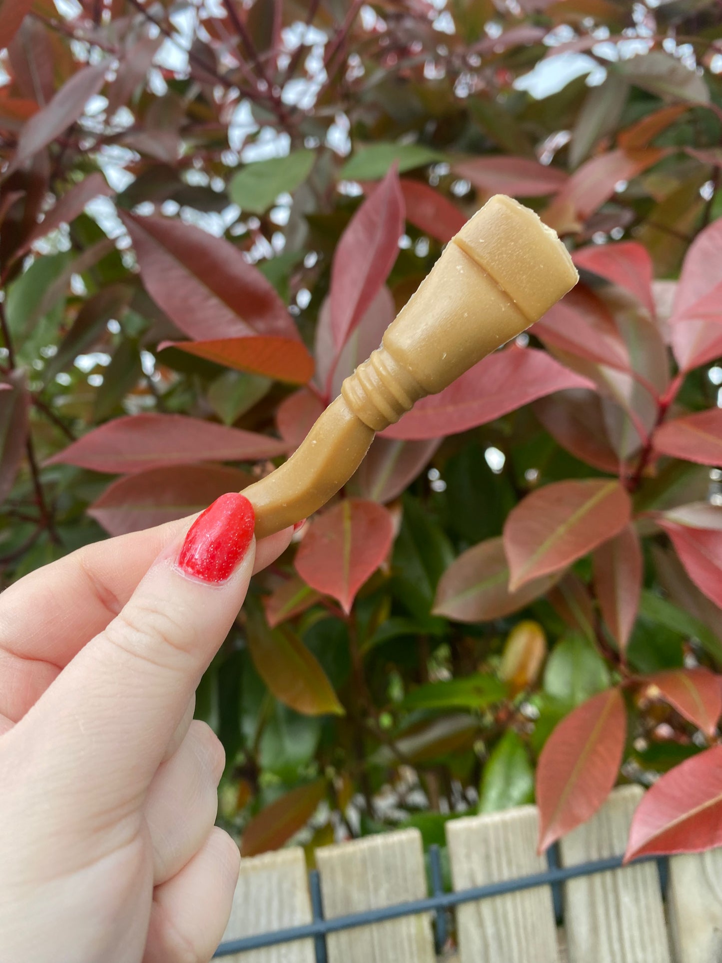 Stick dentaire veggi (vendu à l'unité)