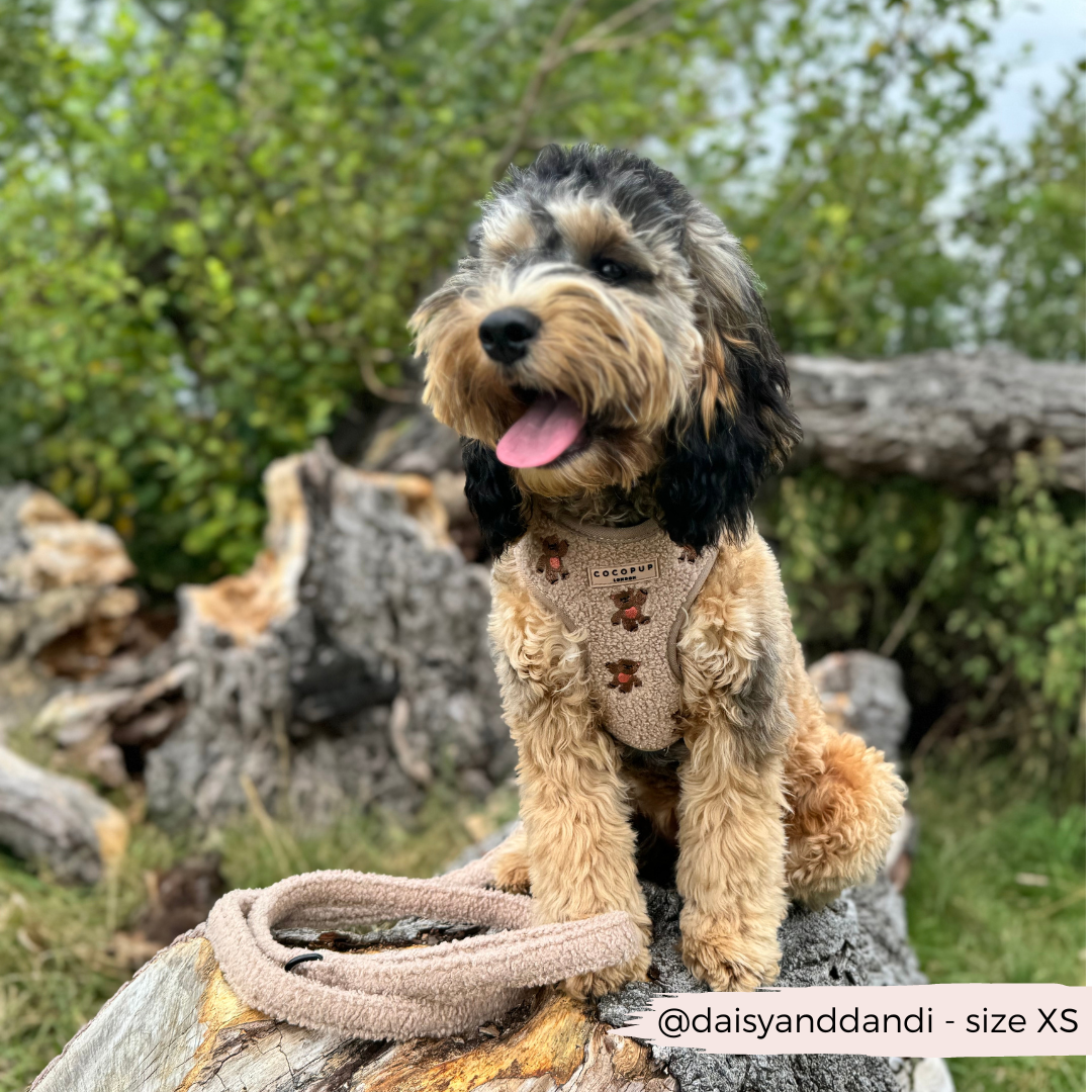 Harnais de cou ajustable Theo brodé Teddy