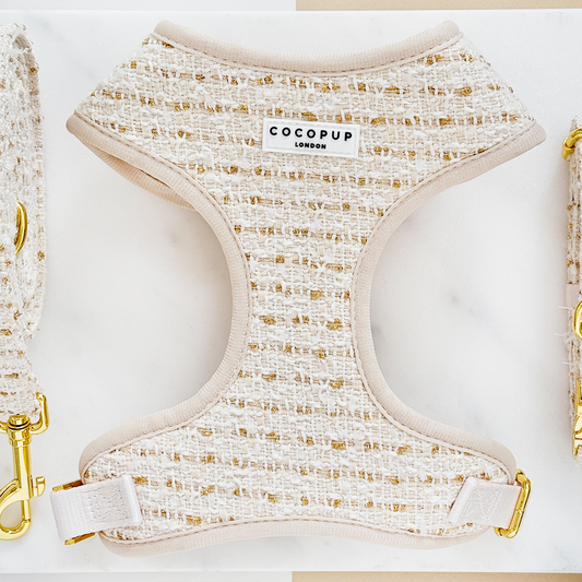 Harnais à col réglable en tweed texturé vanille