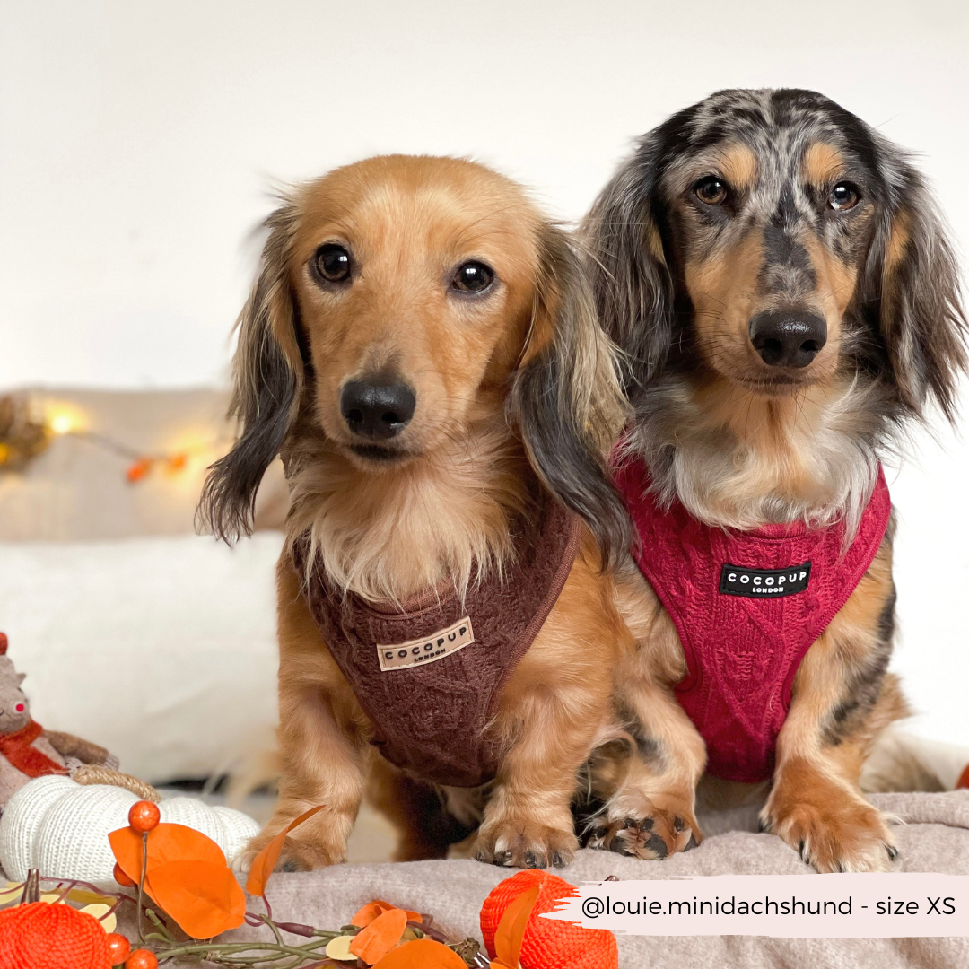 Harnais de cou ajustable en tricot torsadé - Hot Coco