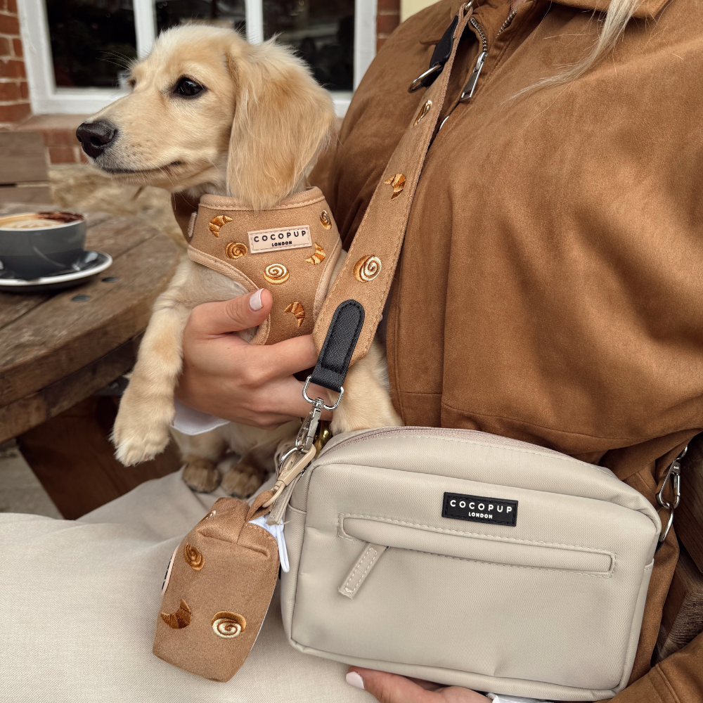 Harnais réglable pour le cou Pawtisserie