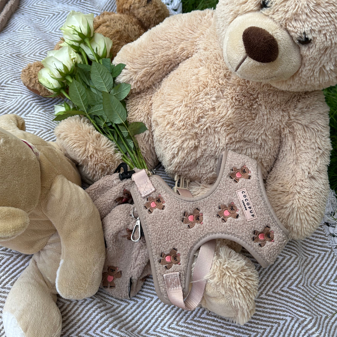 Harnais de cou ajustable Theo brodé Teddy