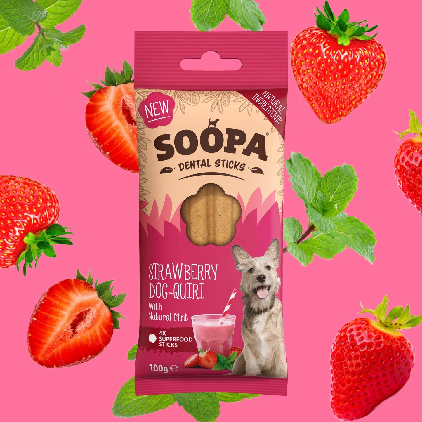 Bâtonnets Dentaires pour Chiens Saveur Fraise et menthe