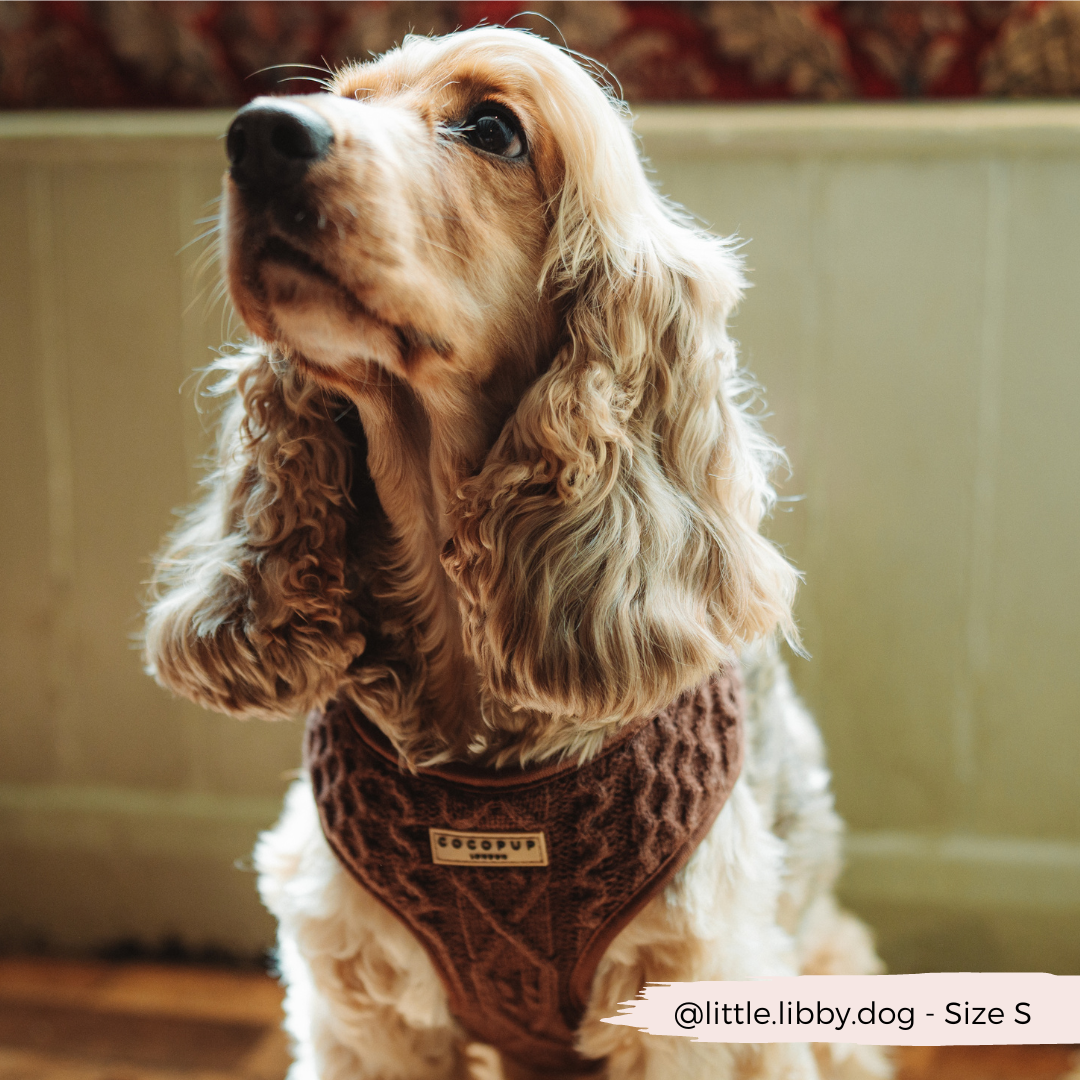 Harnais de cou ajustable en tricot torsadé - Hot Coco