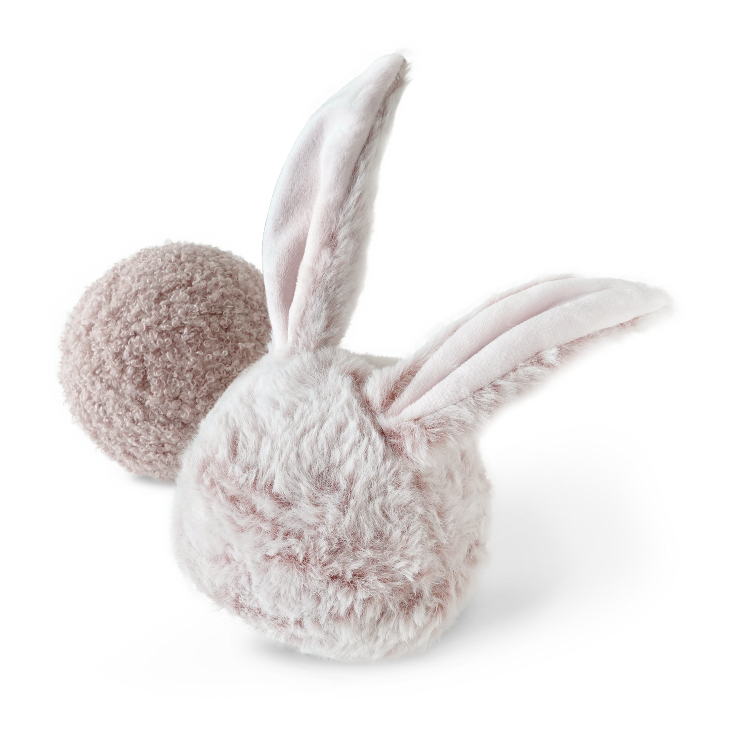 Le lapin