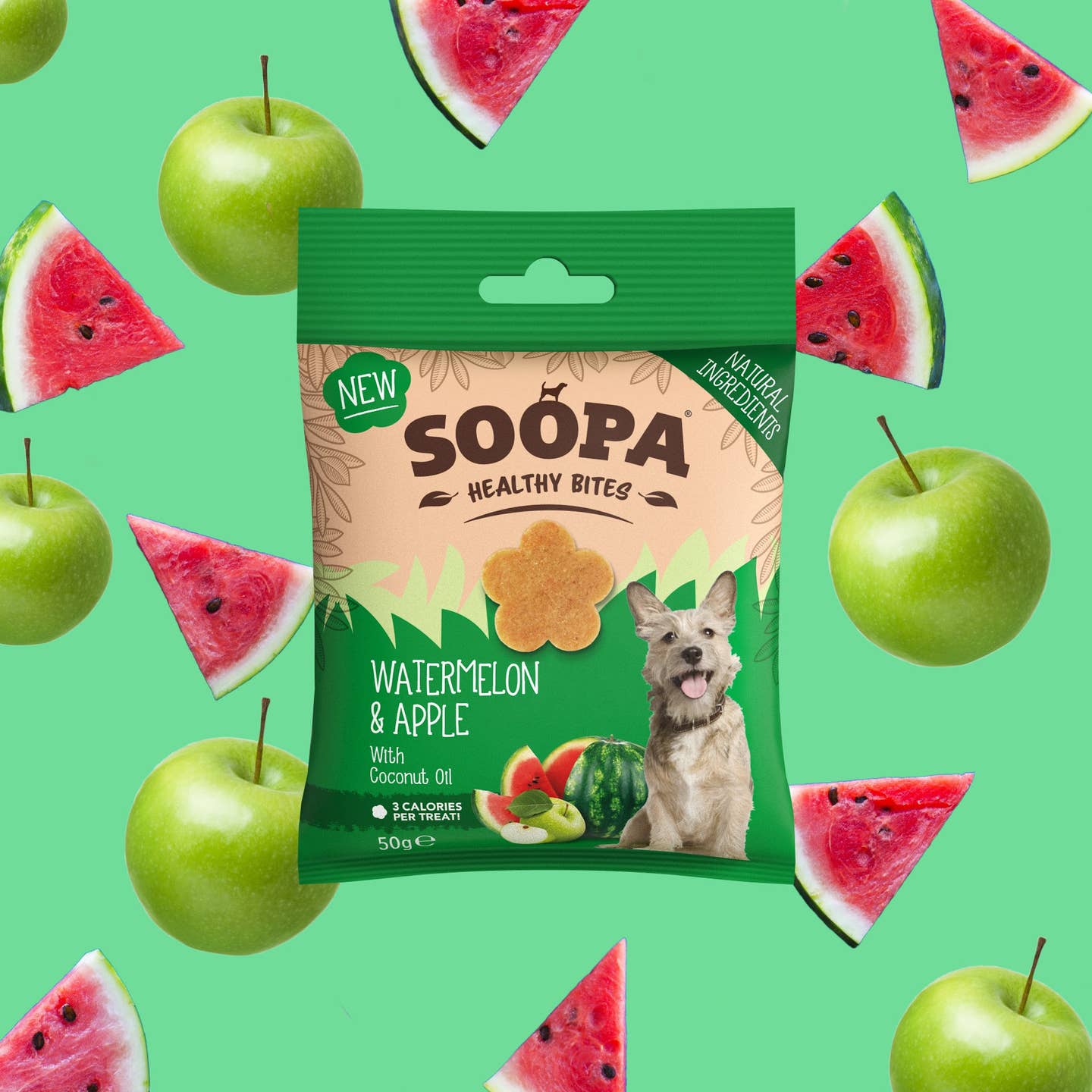 Friandises pour chiens - Pastèque et pomme