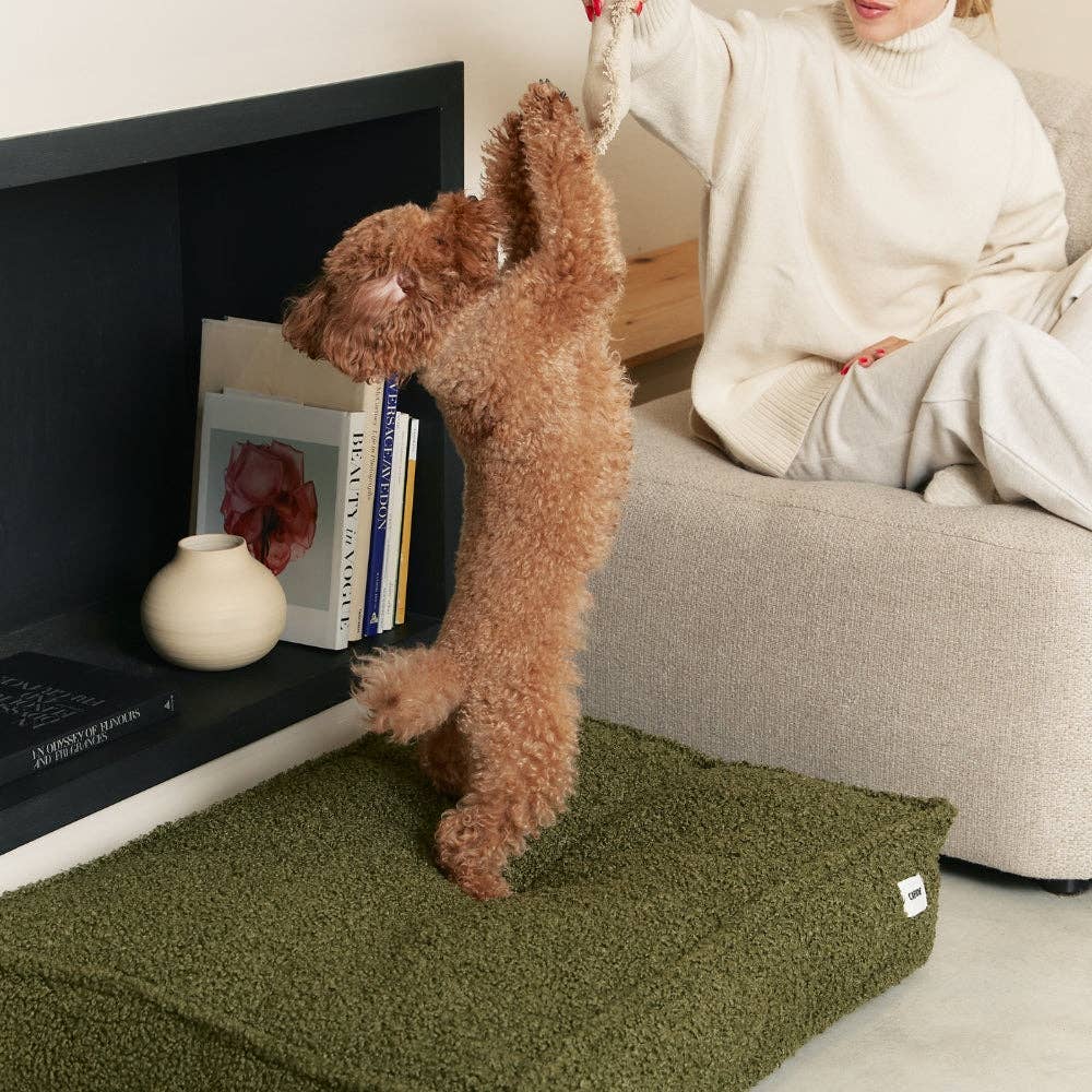 Lit pour chien en effet bouclette vert, Cuadra