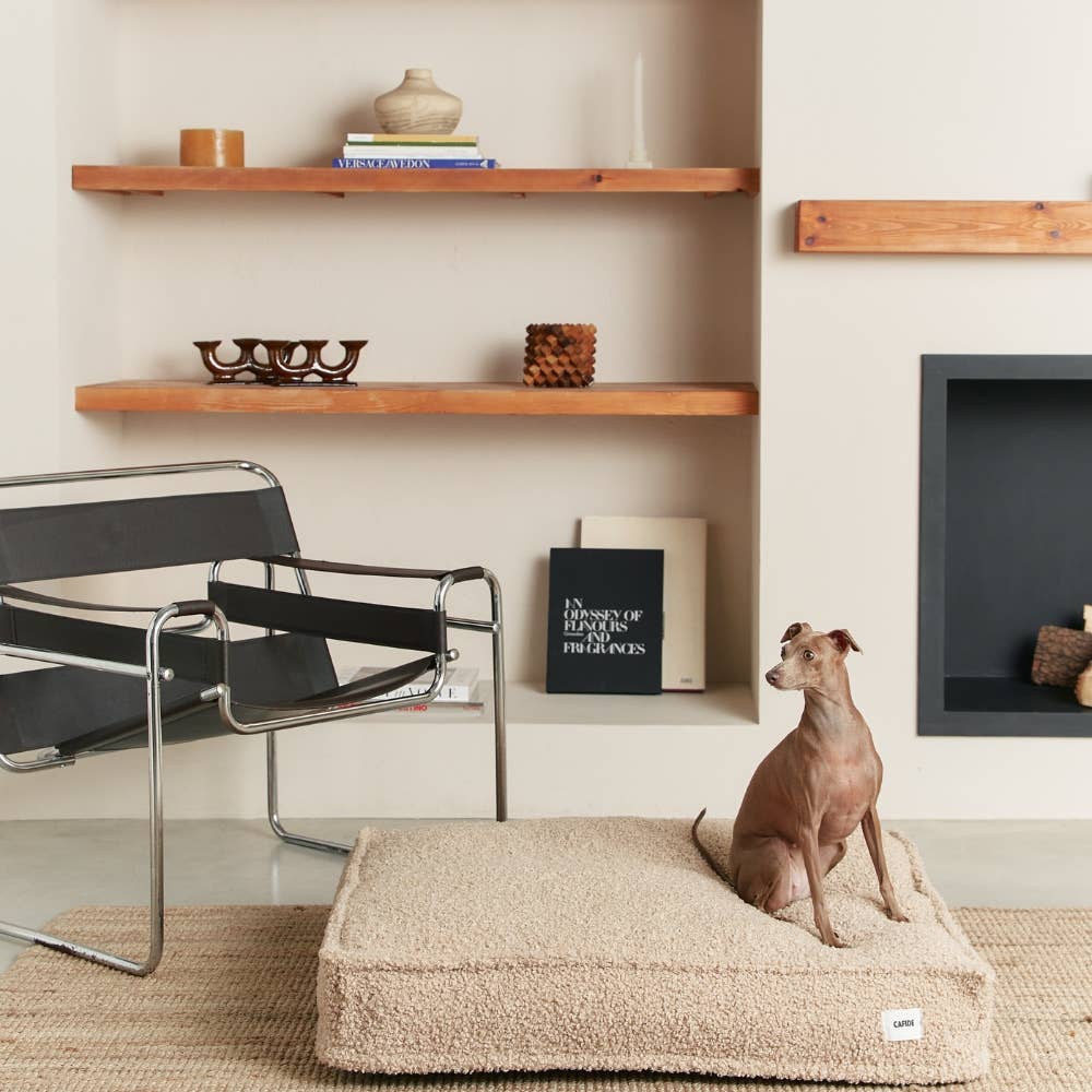 Lit pour chien en effet bouclette beige, Cuadra