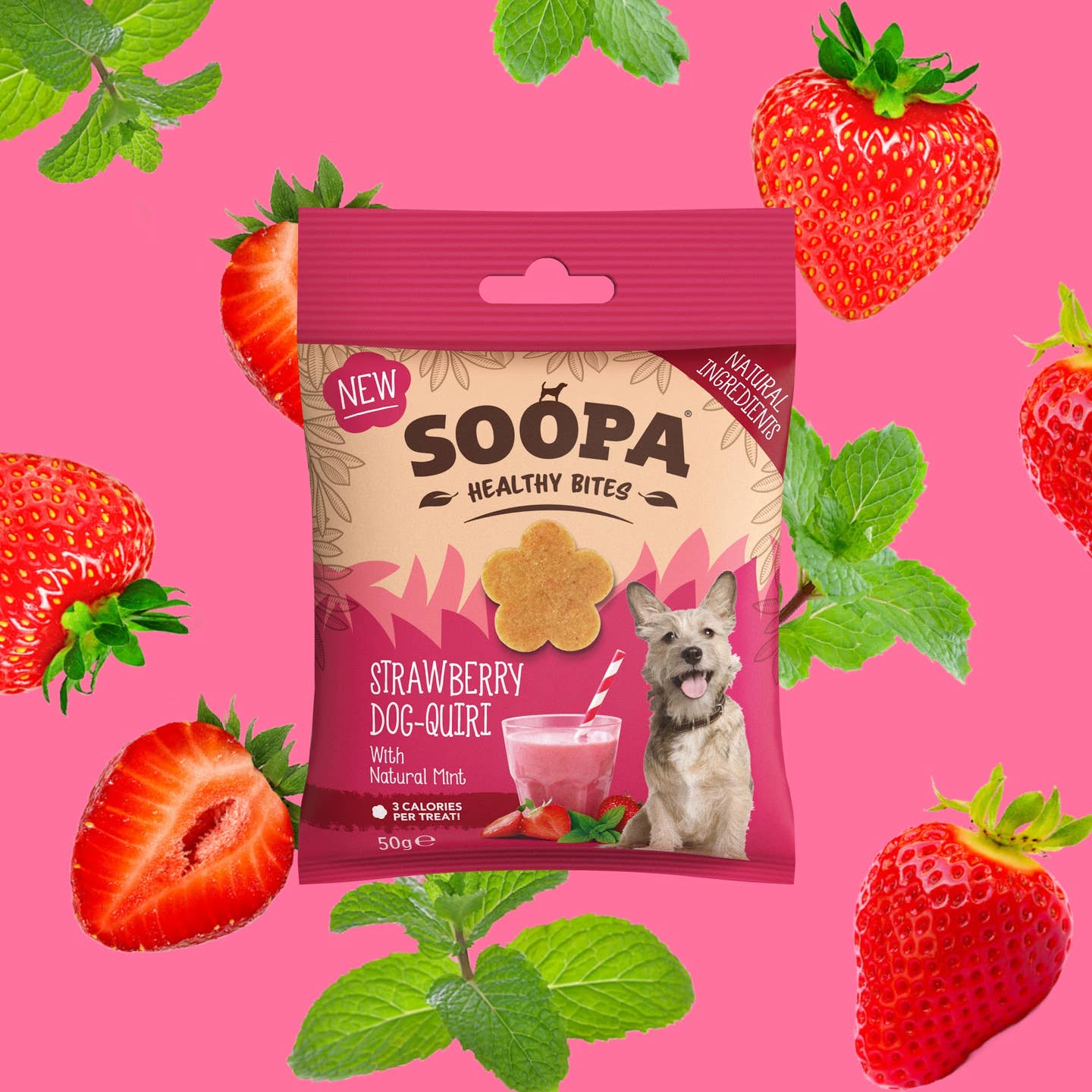 Friandises pour chien - Fraise et menthe