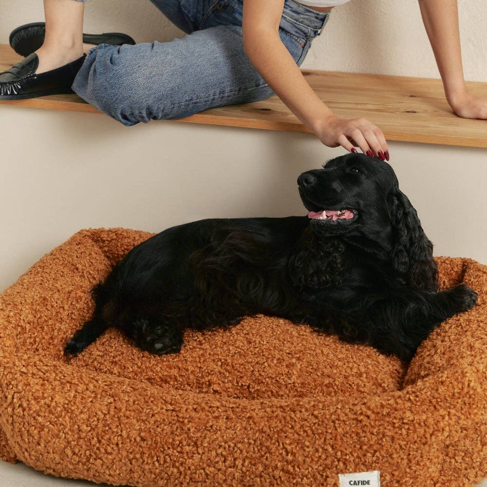 Lit pour chien en bouclette moutarde, Snozy