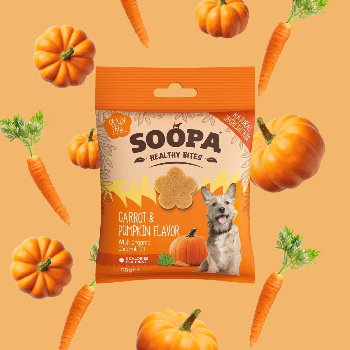 Friandises pour chiens - Citrouille et carotte