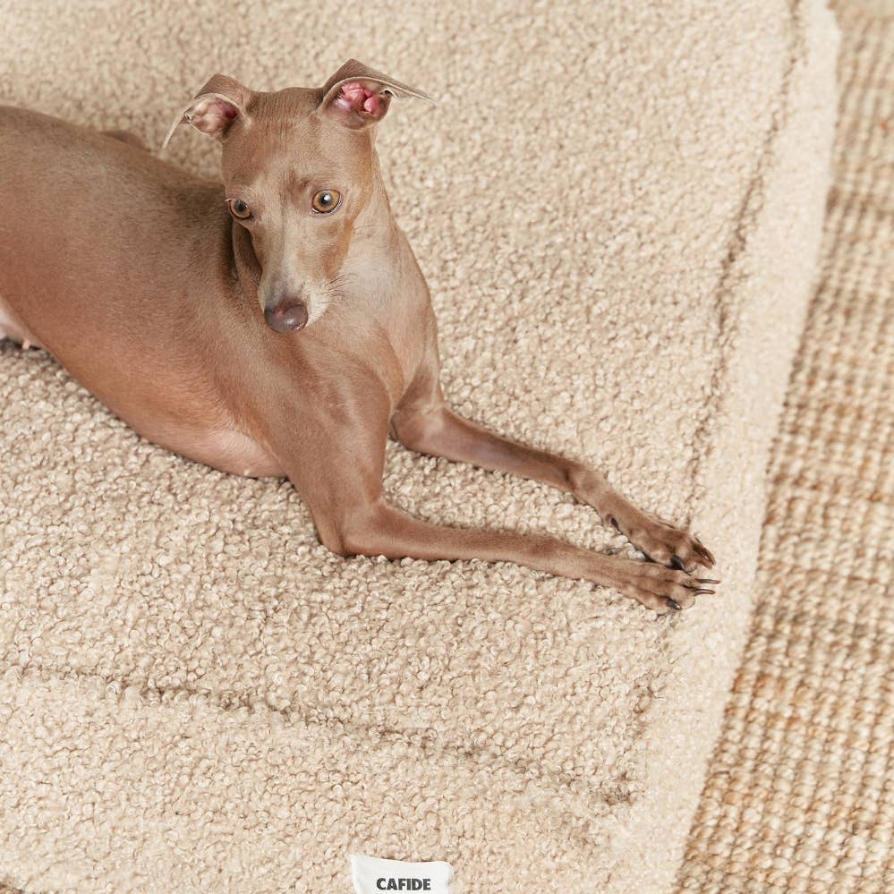 Lit pour chien en effet bouclette beige, Cuadra